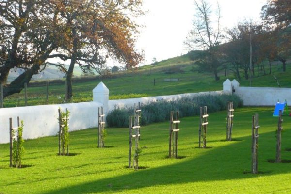 The Oaks (48)